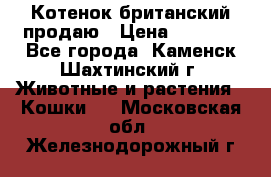 Котенок британский продаю › Цена ­ 3 000 - Все города, Каменск-Шахтинский г. Животные и растения » Кошки   . Московская обл.,Железнодорожный г.